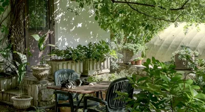 Hoe je tuin in Zwolle een groene oase wordt